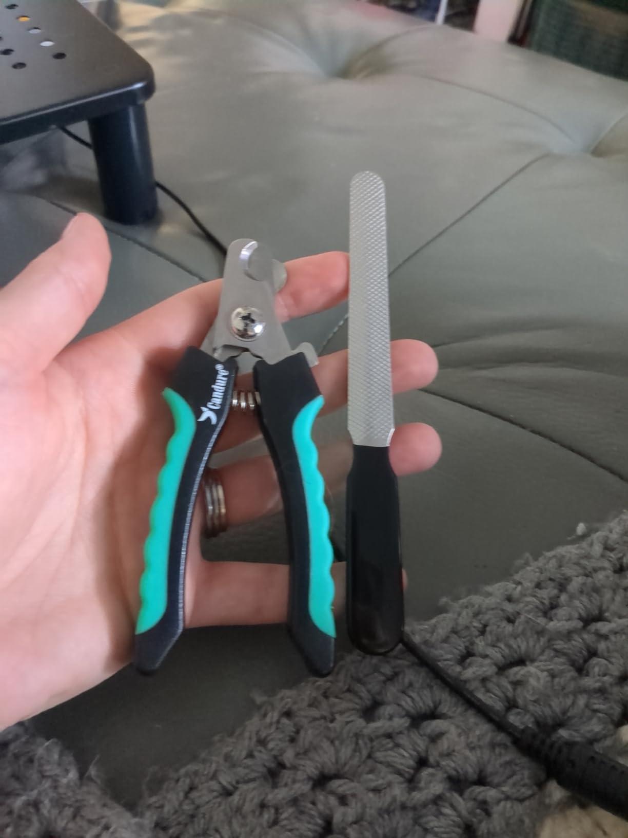 Post image of Kìm bấm và mài móng cho chó 